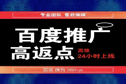 百度竞价广告的投放策略与成功案例分析